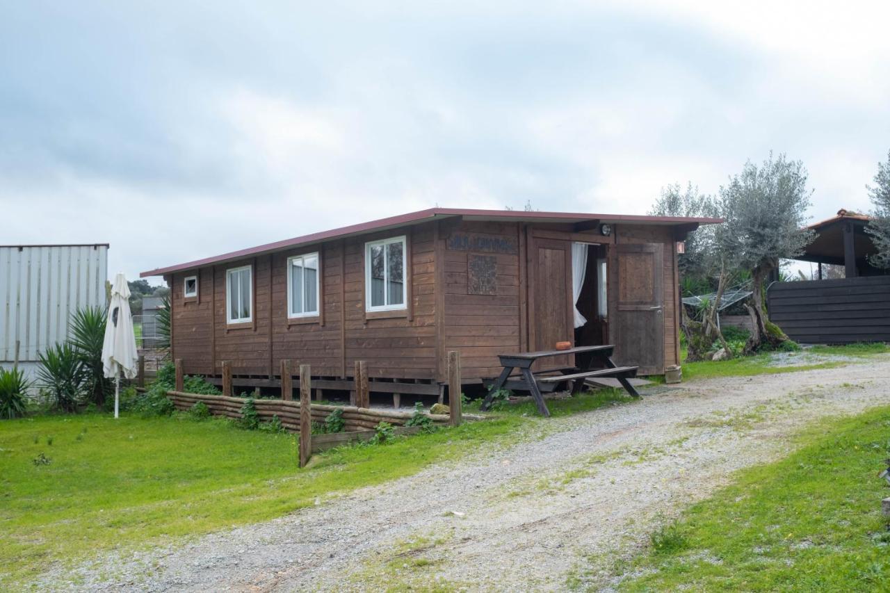Hotel Burriscas Campismo Rural à Montemor-o-Novo Extérieur photo
